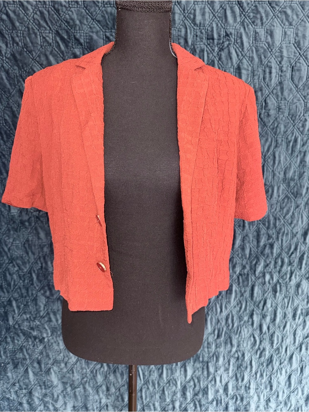 Steve Madden Rust Textured Short Sleeve Cropped Blazer